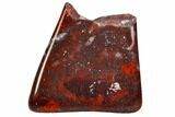 Bargain Polished Stromatolite (Collenia) - Minnesota #108595-1